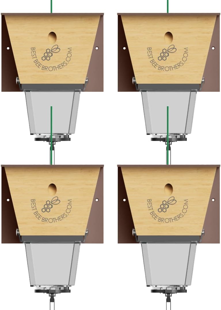 Best Bee Brothers Ultimate Pro Carpenter Bee Trap for Outside with Extra-Large, Clear External Receptacle, Internal Bee Vault & Spring-Loaded Door, 4.2” D x 5.8” W x 7.5” H (2 Pack)