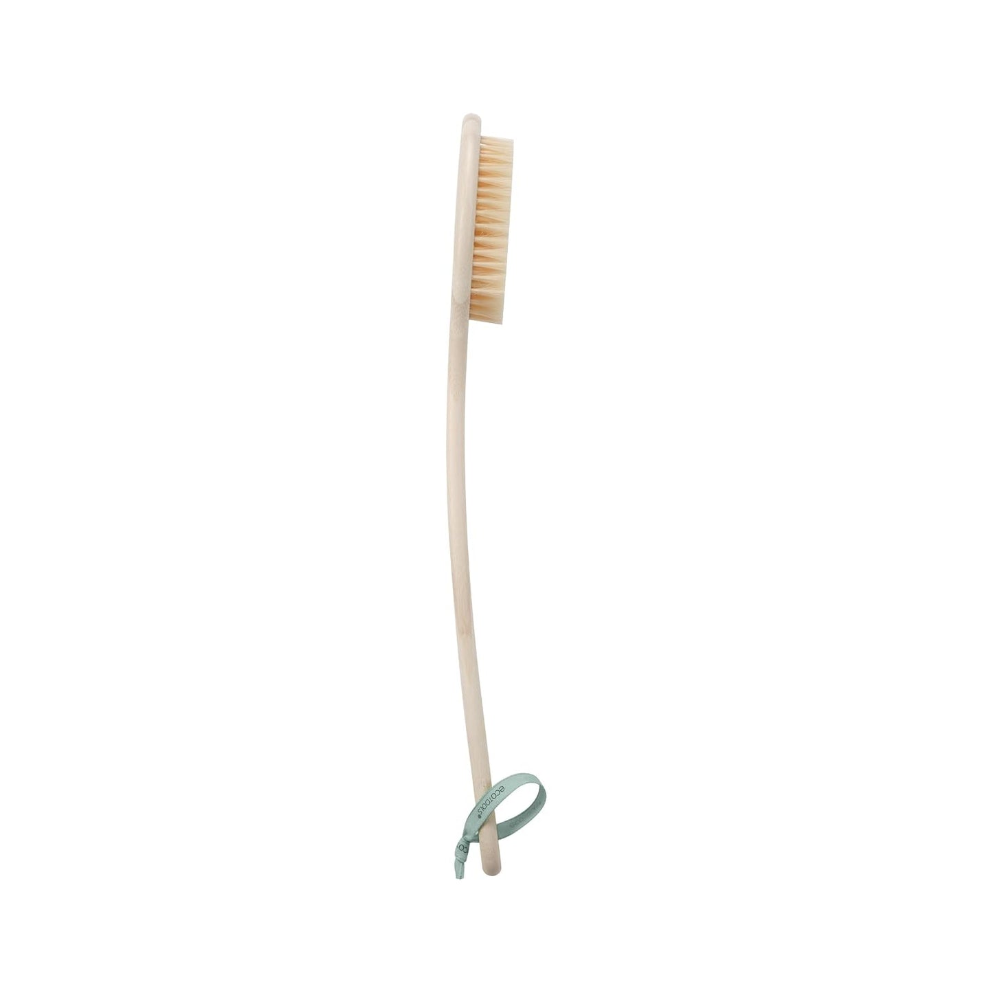EcoTools Bath Bristle Brush, Bath Brush with Long Handle, Cleanse Back & Hard-to-Reach Areas, Eco Friendly Shower Brush for Exfoliating, Cruelty Free Nylon Bristles, Vegan, 1 Count