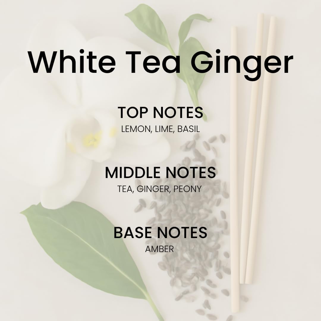 Clean Linen Reed Diffuser Set - Luxury Fragrance Reed Diffusers for Home. Office, Bathroom, Kitchen and Home Decor - Long-Lasting Scent with Non-Toxic Oils (5.63 oz, 160ml)