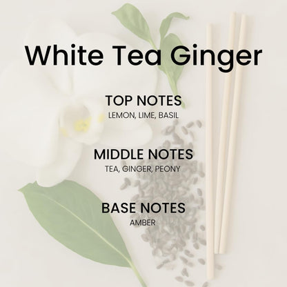 Clean Linen Reed Diffuser Set - Luxury Fragrance Reed Diffusers for Home. Office, Bathroom, Kitchen and Home Decor - Long-Lasting Scent with Non-Toxic Oils (5.63 oz, 160ml)