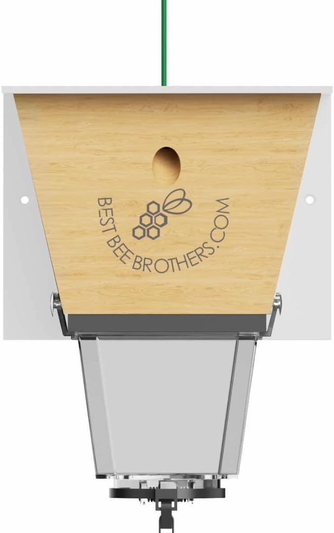 Best Bee Brothers Ultimate Pro Carpenter Bee Trap for Outside with Extra-Large, Clear External Receptacle, Internal Bee Vault & Spring-Loaded Door, 4.2” D x 5.8” W x 7.5” H (2 Pack)