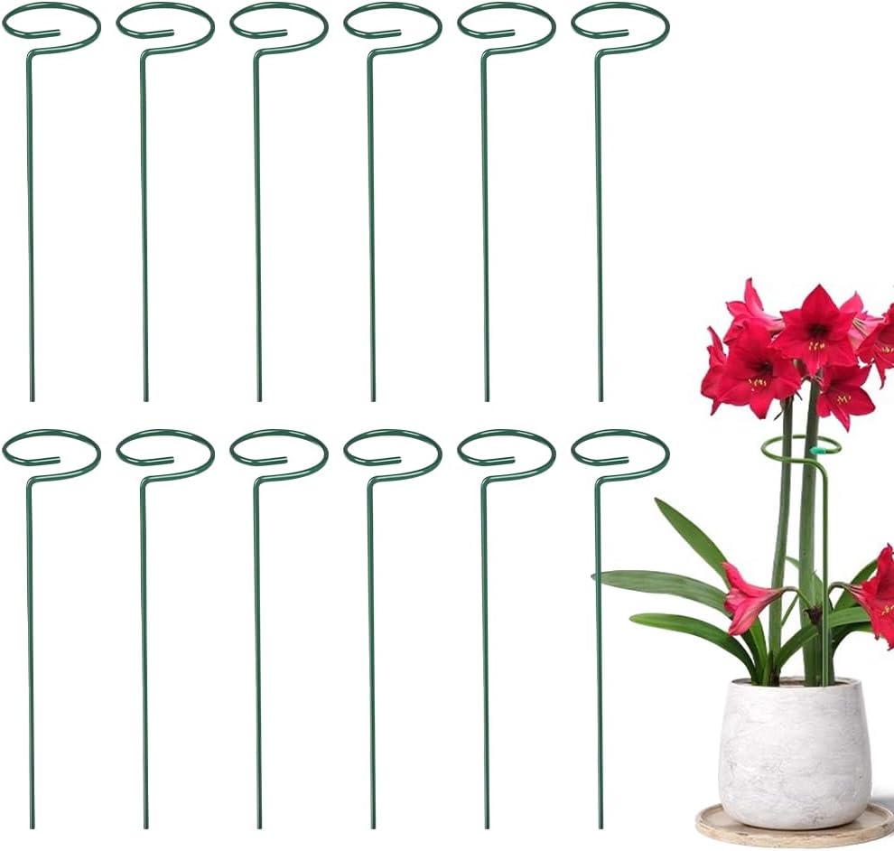 4/8/12 Pack Plant Stakes, 16/24/36 Inch Plant Support Stakes, 2025 New Plant Sticks Support, Flower Stakes for Plants Peony, Tomato Seedling, Marigold, Amaryllis, Sapling, Coreopsis (16 Inch-4 Pack)
