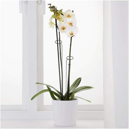 10 Pieces 24 inch Green Single Stem Plant Stakes Flower Support Rings,Gardening Planter Cages for Single Stem Flowers, Amaryllis, Peony, Lily,Narcissus