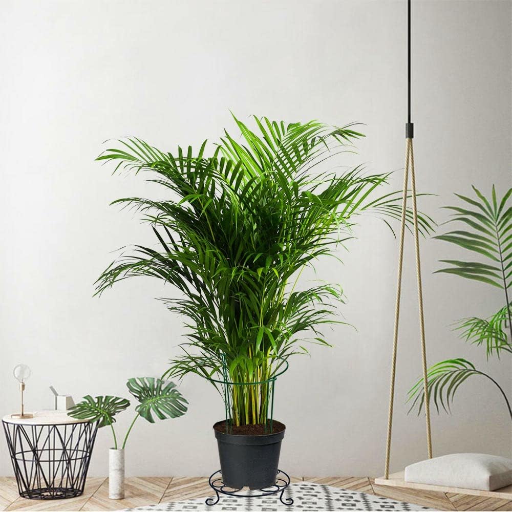 6 Pack 15.8 Inch High Plant Stake,Garden Plant Support,Half-Round Peony Cage Plant Ring Hoop