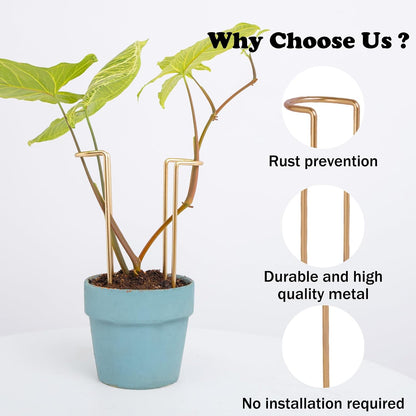 10 Pack Indoor Plant Support for Monstera Trellis Stakes and Stem Holder - Perfect for Small Indoor Plants, Desktop Gardens & Flower Shelf Use, Easy to Set Up and Efficient Support