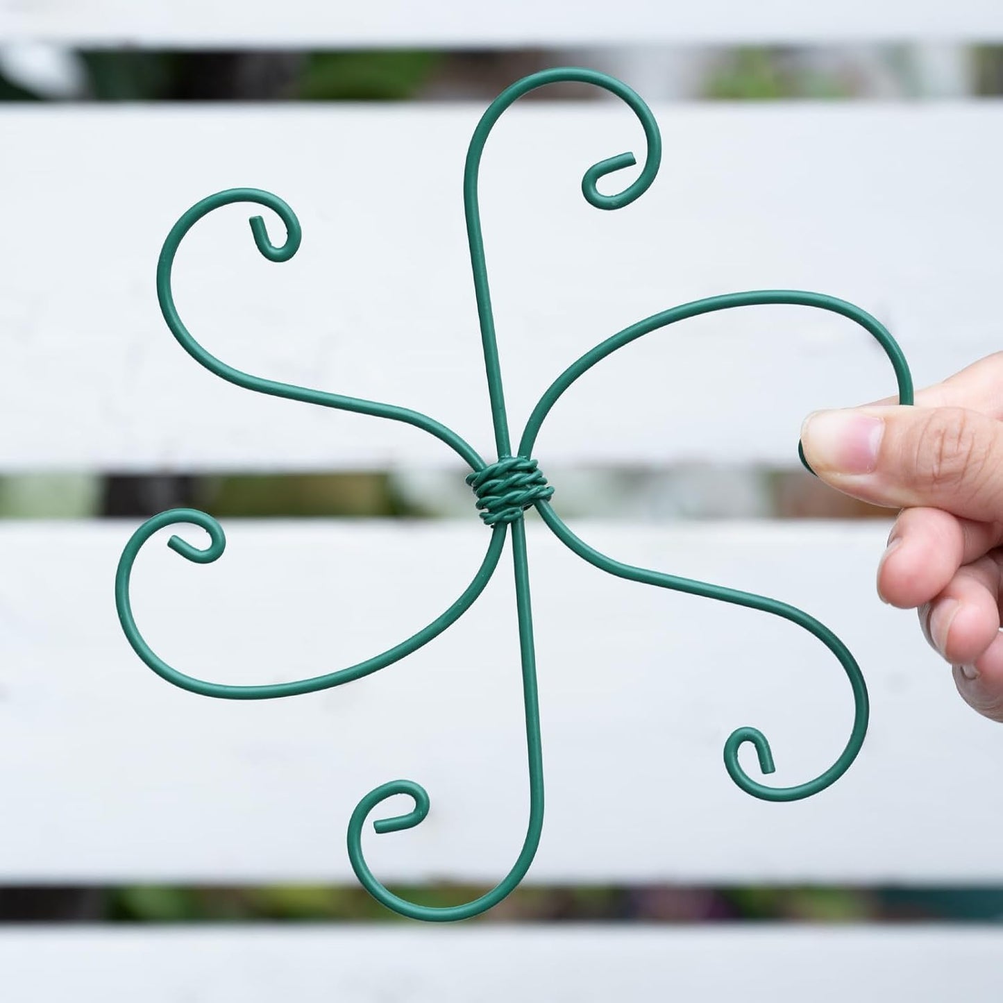 Yohsnor Monstera Plant Stem Support System - 5 Piece Set (5.5x4.7in) | Durable Plant Support Stakes for Climbing Plants & Fishbone Cactus | Ideal Leaf Stabilizer for Indoor Plants & Monstera Care