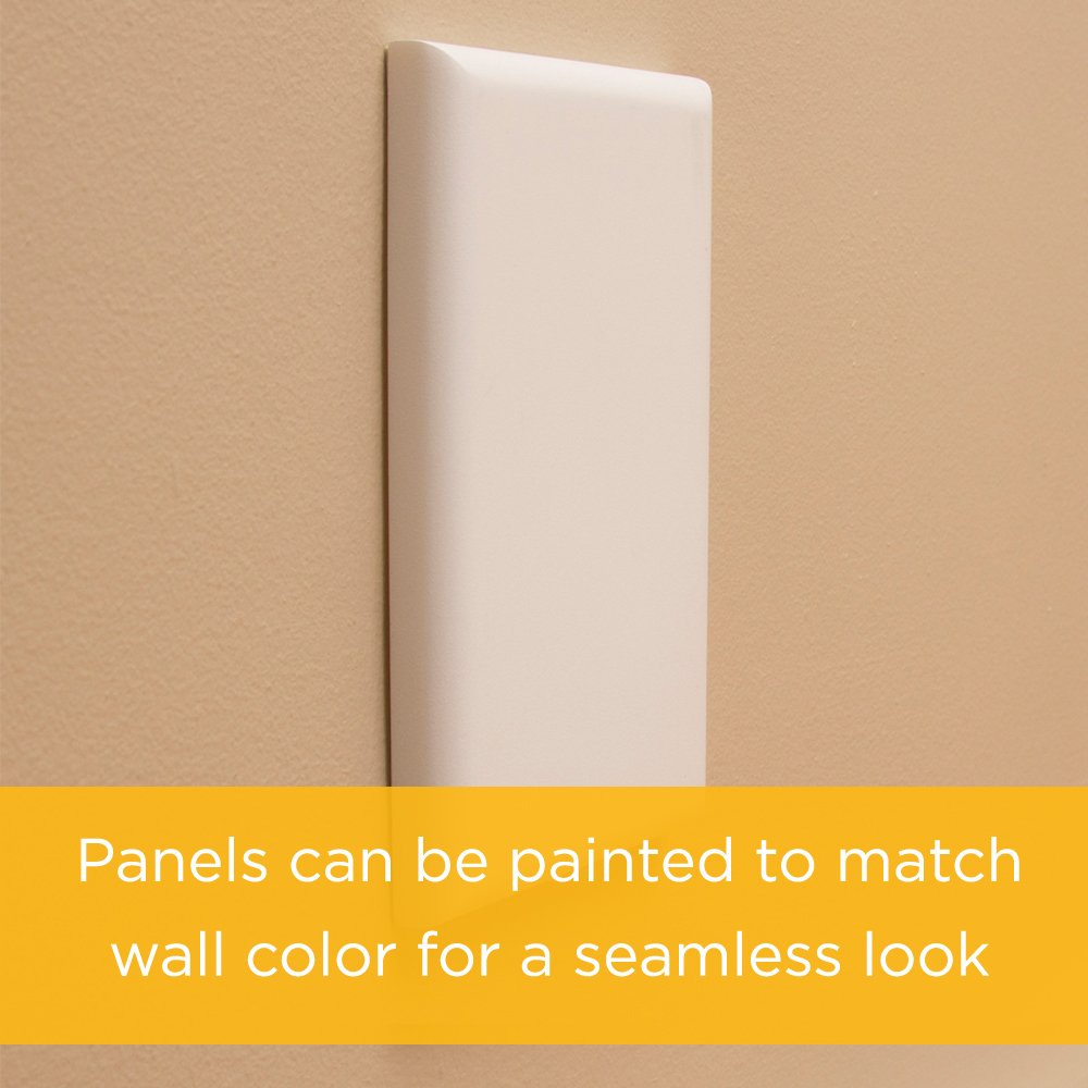 Safety 1st OutSmart Outlet Shield