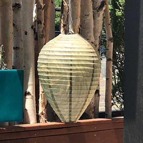 Wasp Nest Decoy - 3 Pack- Eco Friendly Hanging Wasp Repellent