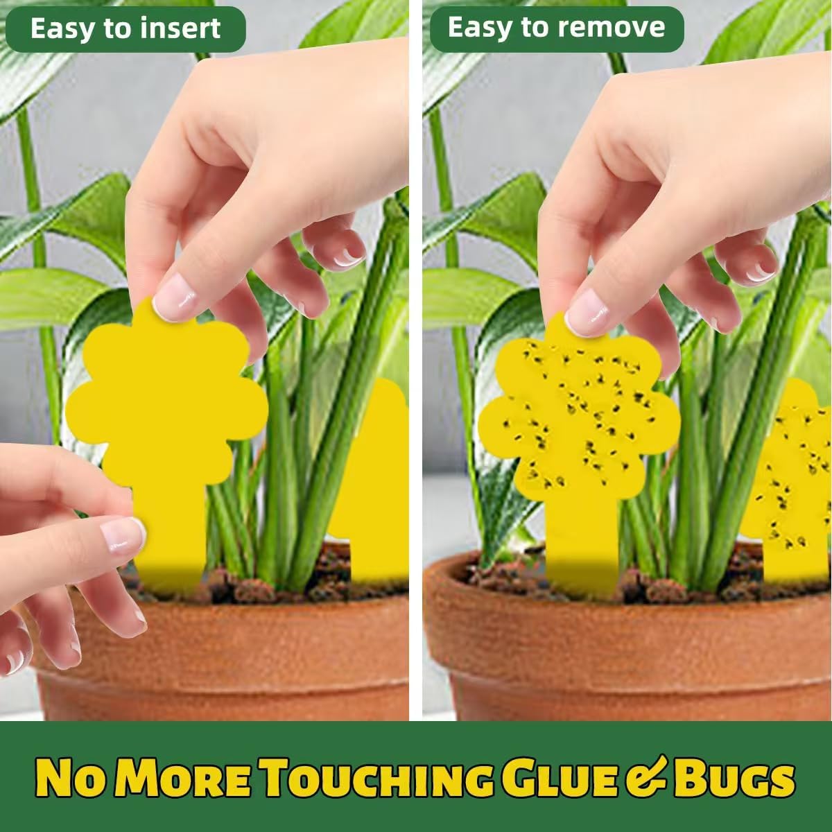 Sticky Yellow Fungus Gnat Traps, Easier to Use, No Touching Glue Or Bugs, Targets Species for Gnat, Fruit Fly & Pests, Thoughtfully Designed, High Capture Rate, Kid & Pet Safe, 36 Traps