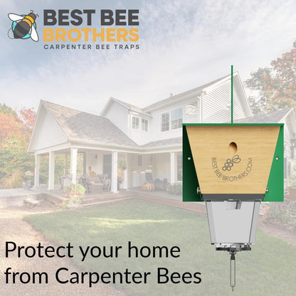 Best Bee Brothers Ultimate Pro Carpenter Bee Trap for Outside with Extra-Large, Clear External Receptacle, Internal Bee Vault & Spring-Loaded Door, 4.2” D x 5.8” W x 7.5” H (2 Pack)