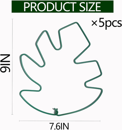 Yohsnor Monstera Plant Stem Support System - 5 Piece Set (5.5x4.7in) | Durable Plant Support Stakes for Climbing Plants & Fishbone Cactus | Ideal Leaf Stabilizer for Indoor Plants & Monstera Care