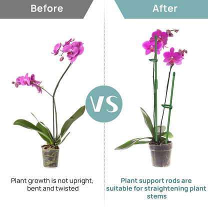 20 Pcs Plant Support Stakes, Indoor Plant Stakes Adjustable Length, Garden Sticks for Indoor Outdoor Plants, Plant Poles with with Rings Clip for Potted Plants Tomato Monstera Orchid