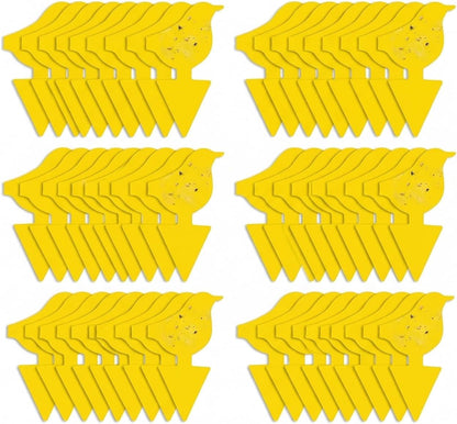 Kate's Home & Garden 36 Count Fruit Fly Traps for Indoors and House. Yellow Sticky Trap for Gnats, Mosquitos, Plants, Ants