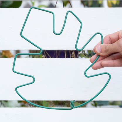 Yohsnor Monstera Plant Stem Support System - 5 Piece Set (5.5x4.7in) | Durable Plant Support Stakes for Climbing Plants & Fishbone Cactus | Ideal Leaf Stabilizer for Indoor Plants & Monstera Care