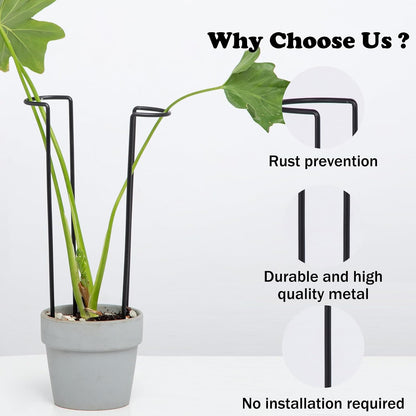 10 Pack Indoor Plant Support for Monstera Trellis Stakes and Stem Holder - Perfect for Small Indoor Plants, Desktop Gardens & Flower Shelf Use, Easy to Set Up and Efficient Support