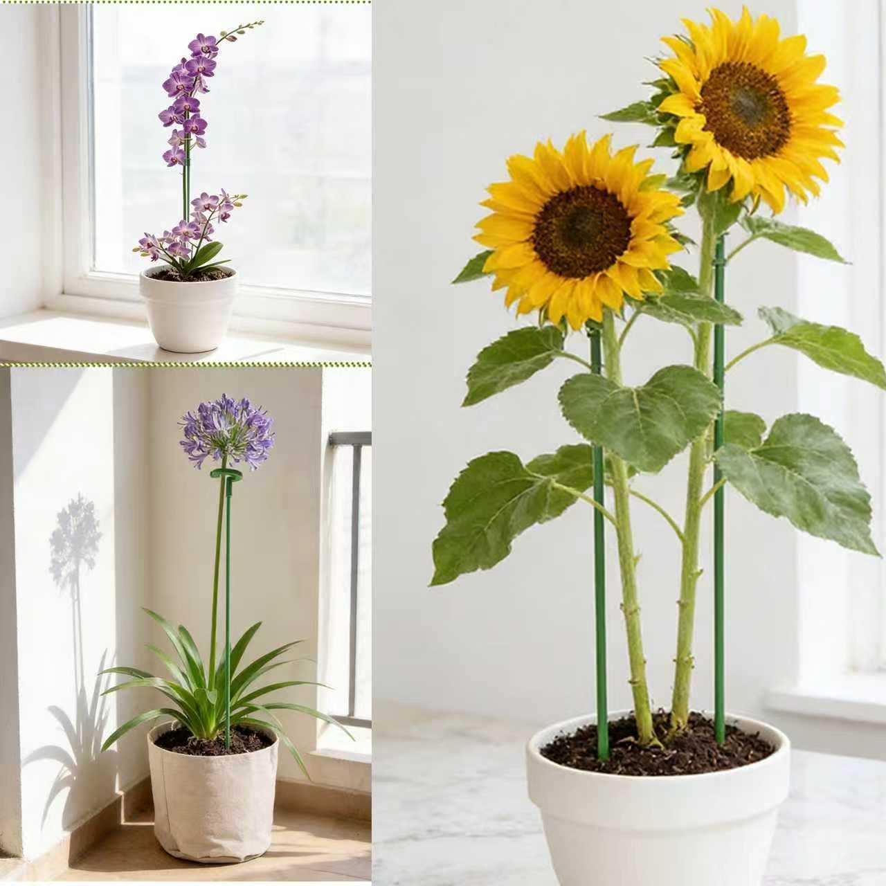 10Pcs Plant Stakes, 11Inch Garden Green Plant Support Stakes for Indoor and Outdoor Plants, Potted Plants, Flowers Orchid Peony