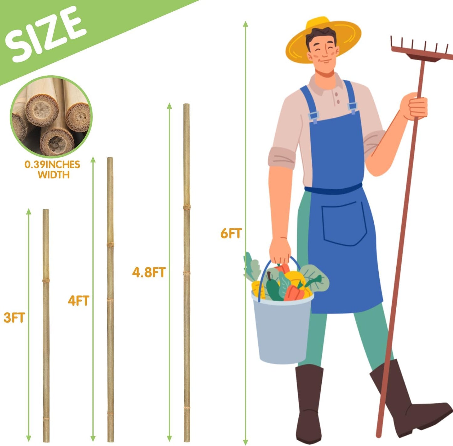 GAGINANG Plant Stakes Natural Garden Bamboo Sticks for Indoor and Outdoor, 20pcs for Tomatoes, Beans, Potted Plants - 18 inches