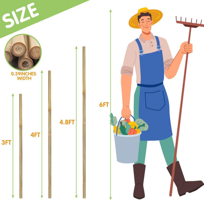 GAGINANG Plant Stakes Natural Garden Bamboo Sticks for Indoor and Outdoor, 20pcs for Tomatoes, Beans, Potted Plants - 18 inches