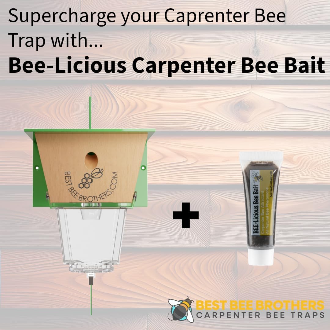 Best Bee Brothers Ultimate Carpenter Bee Trap for Outside | Large Clear External Receptacle, Internal Bee Vault, Spring-Loaded Door, 5.75" L x 6" W x 4.5" H
