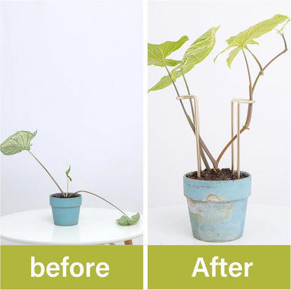 10 Pack Indoor Plant Support for Monstera Trellis Stakes and Stem Holder - Perfect for Small Indoor Plants, Desktop Gardens & Flower Shelf Use, Easy to Set Up and Efficient Support