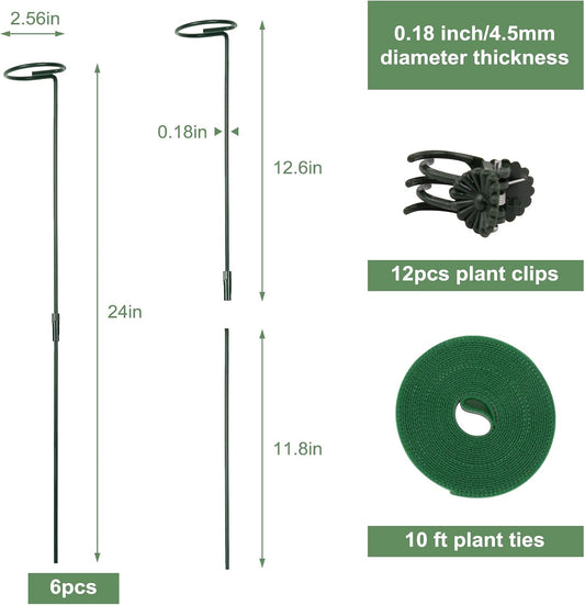 2 Pack Plant Support Sticks, 3 Sizes (12 or 24 or 36 inch) Garden Plant Stake, Plant Support Rings for Indoor Outdoor with Plants Ties, Plants Stakes for Flowers, Climbing Plants, Orchid