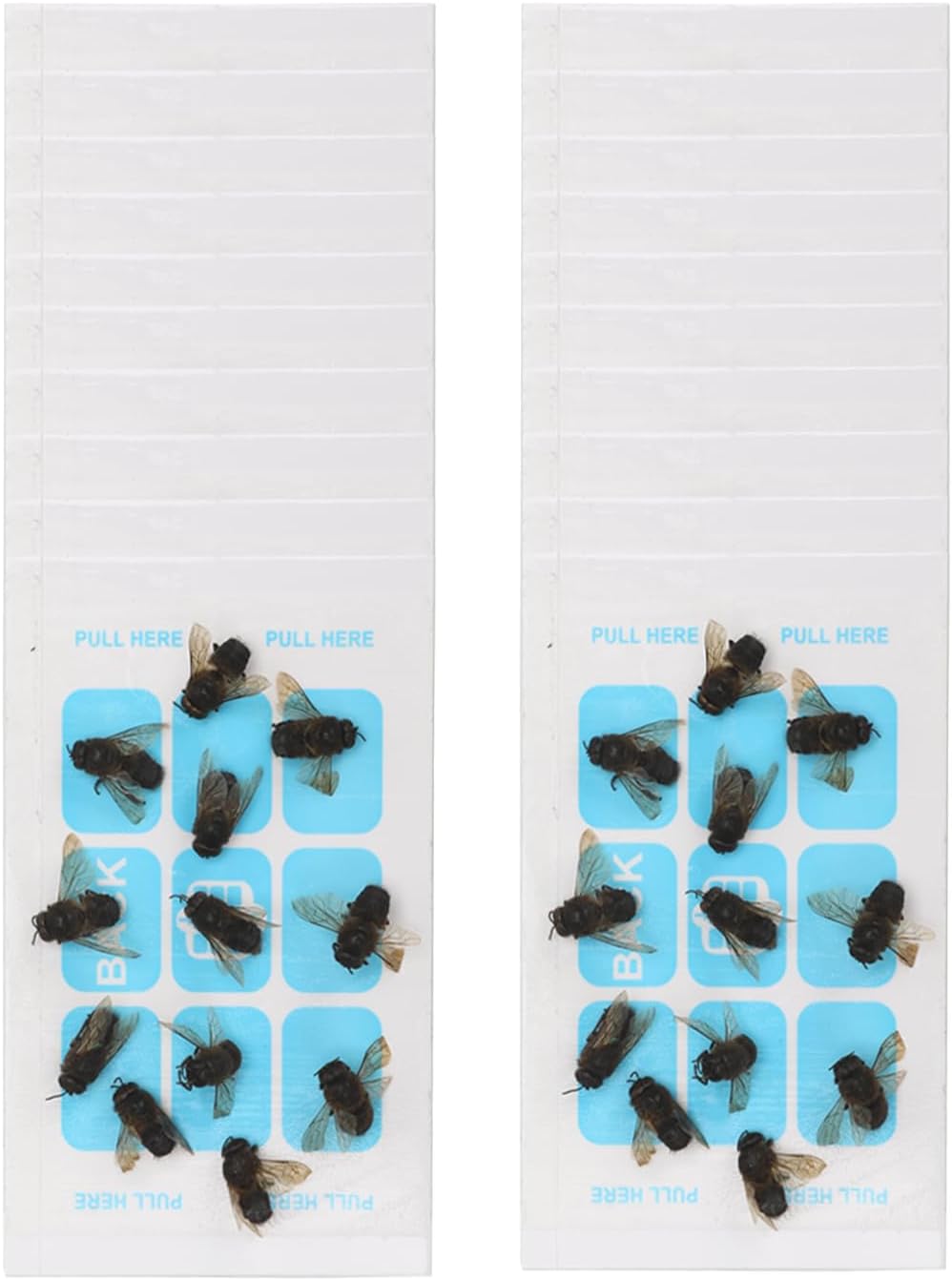 Carpenter Bee Trap for Outside - Wasp Traps Outdoor Hanging with Sticky Traps - Carpenter for Wasps, Mud Daubers (2 Bee Trap+8 Refills)