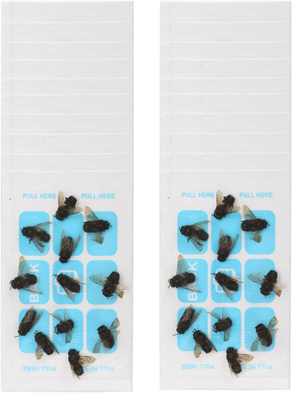 Carpenter Bee Trap for Outside - Wasp Traps Outdoor Hanging with Sticky Traps - Carpenter for Wasps, Mud Daubers (2 Bee Trap+8 Refills)