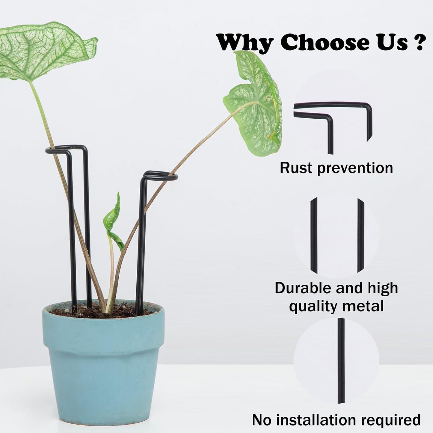 10 Pack Indoor Plant Support for Monstera Trellis Stakes and Stem Holder - Perfect for Small Indoor Plants, Desktop Gardens & Flower Shelf Use, Easy to Set Up and Efficient Support