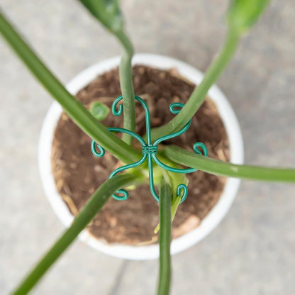 Yohsnor Monstera Plant Stem Support System - 5 Piece Set (5.5x4.7in) | Durable Plant Support Stakes for Climbing Plants & Fishbone Cactus | Ideal Leaf Stabilizer for Indoor Plants & Monstera Care
