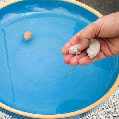 Summit Mosquito Dunks Slow Release Tablets, 40 Count Total – Outdoor Water Treatment Discs for Bird Baths, Ponds, Rain Barrels, and Standing Water, Long Lasting Water Treatment Solution