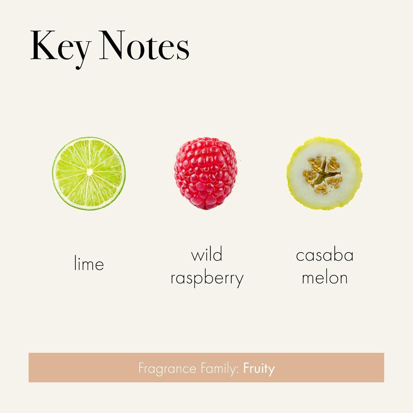 LAFCO New York Classic Reed Diffuser, Sea & Dune - 6 oz - Up to 3 Months Fragrance Life - Reusable Glass Vessel - Natural Wood Reeds - Made in The USA