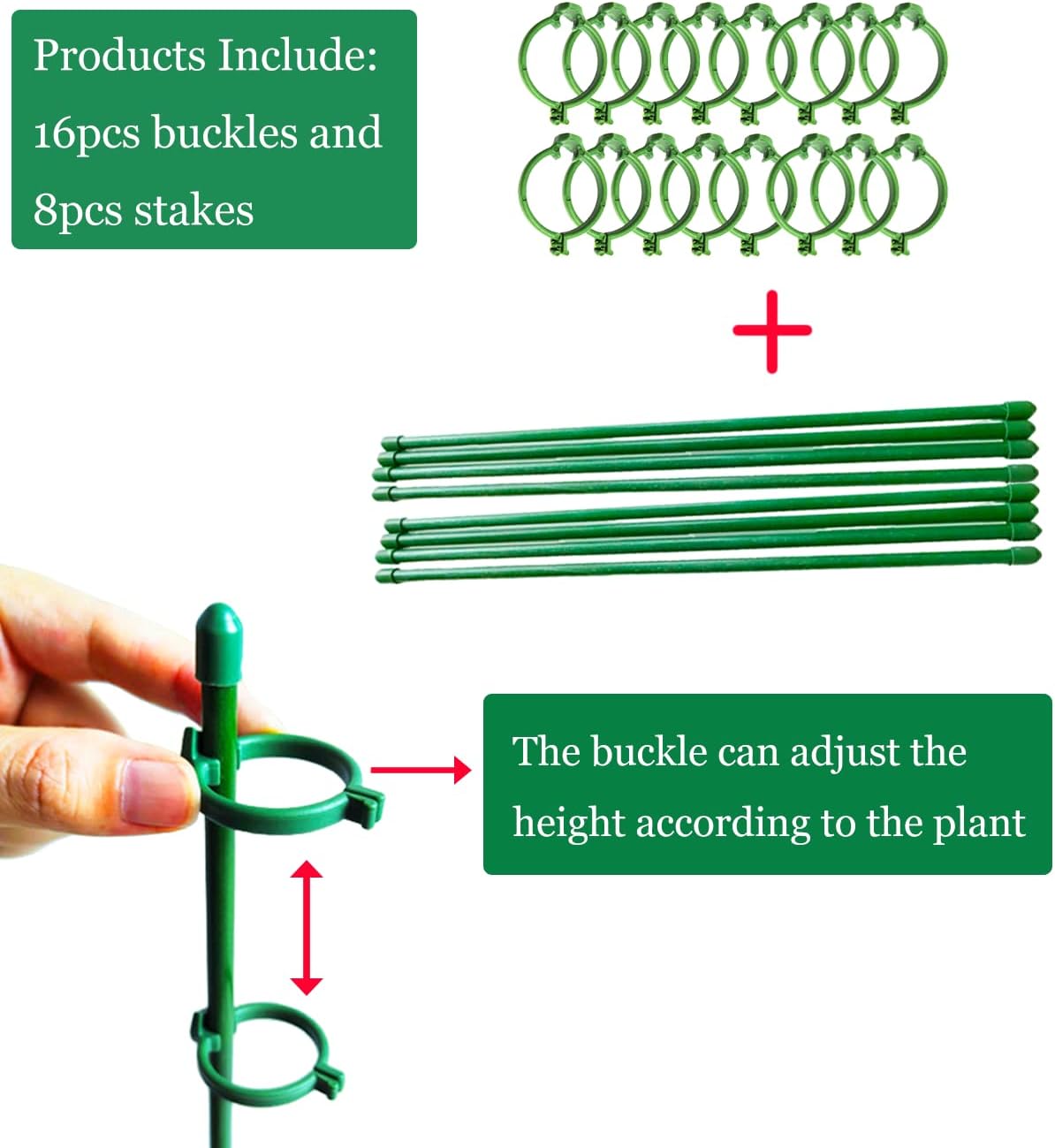 Belit 8 Pack Small Plant Support Plant Stakes, Garden Flowers Green Plant Support Ring, Planter Support Ring for Schlumbergera, Clivia, Vegetables, 5.5" Wide x 9.8" High