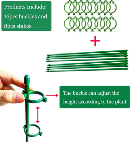 Belit 8 Pack Small Plant Support Plant Stakes, Garden Flowers Green Plant Support Ring, Planter Support Ring for Schlumbergera, Clivia, Vegetables, 5.5" Wide x 9.8" High