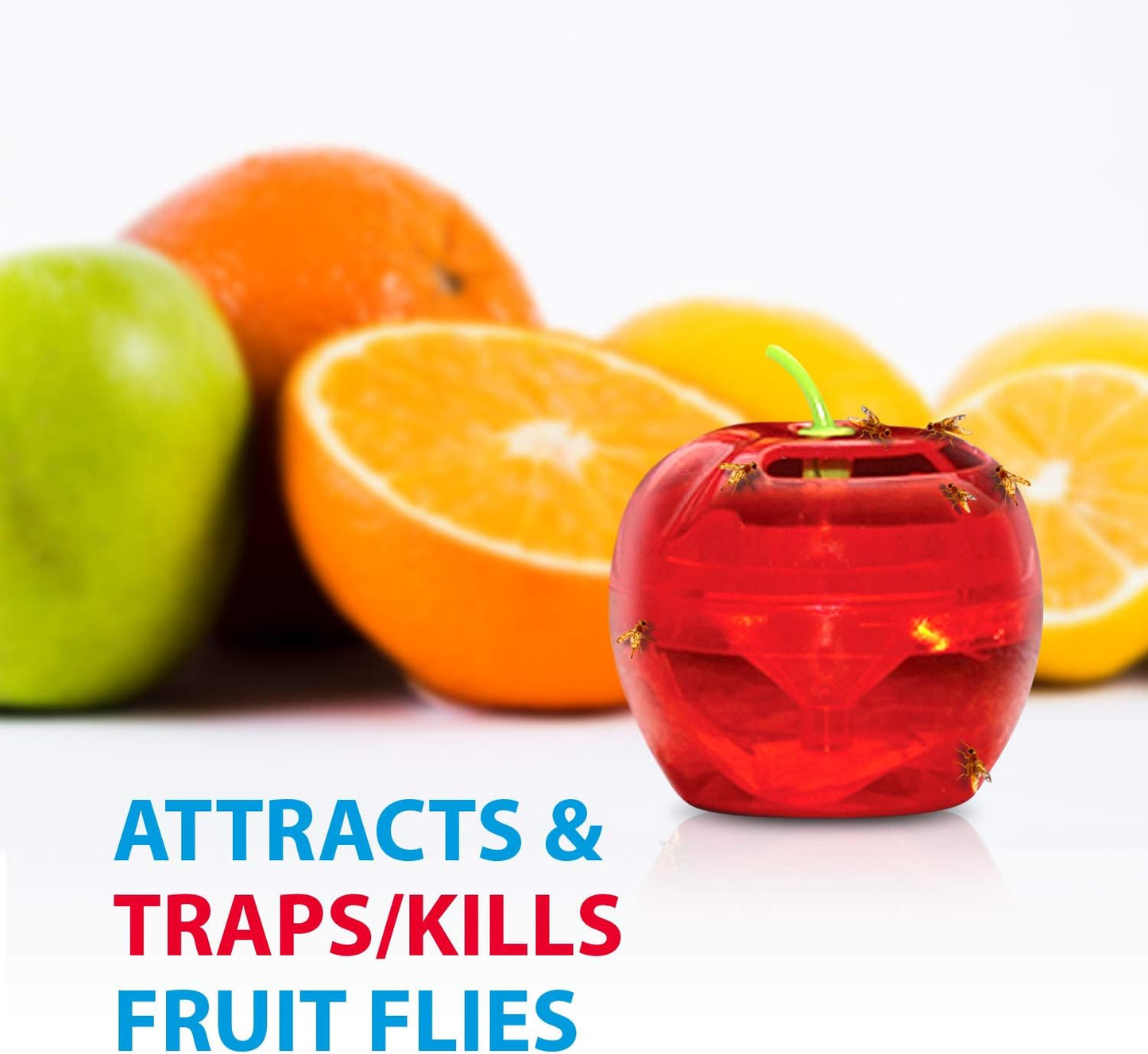 Fruit Fly Traps for Indoors by Raid | 2 Lures + 2 Refills | Effective Fruit Fly Killer & Gnat Traps for House Indoor Use | Easy to Use & Safe Food-Based Lure Fly Catcher