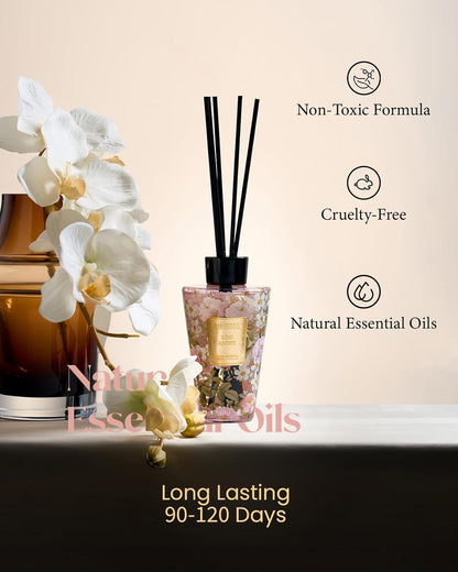 M&SENSE Reed Diffuser Set, Jasmine Sandalwood Scented 6.3 fl oz Natural Essential Oil Diffusers with Sticks, Non-Toxic Organic Air Freshener, Long-Lasting Fragrance Oils for Home Bathroom Living Room