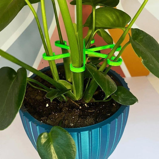 4PCS Reusable Plant Stem Support Stakes – Assorted Sizes Plant Growth Accessories for Indoor Climbing Plants & Home Decoration, Green