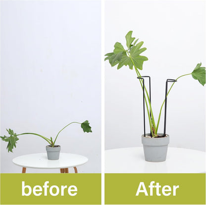 10 Pack Indoor Plant Support for Monstera Trellis Stakes and Stem Holder - Perfect for Small Indoor Plants, Desktop Gardens & Flower Shelf Use, Easy to Set Up and Efficient Support