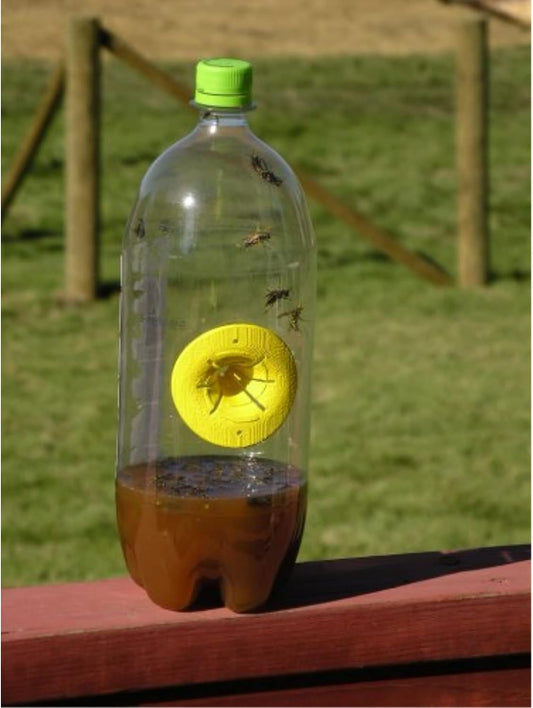 Fatal Funnel FFW-6P Wasp and Hornet Traps, 6-Pack