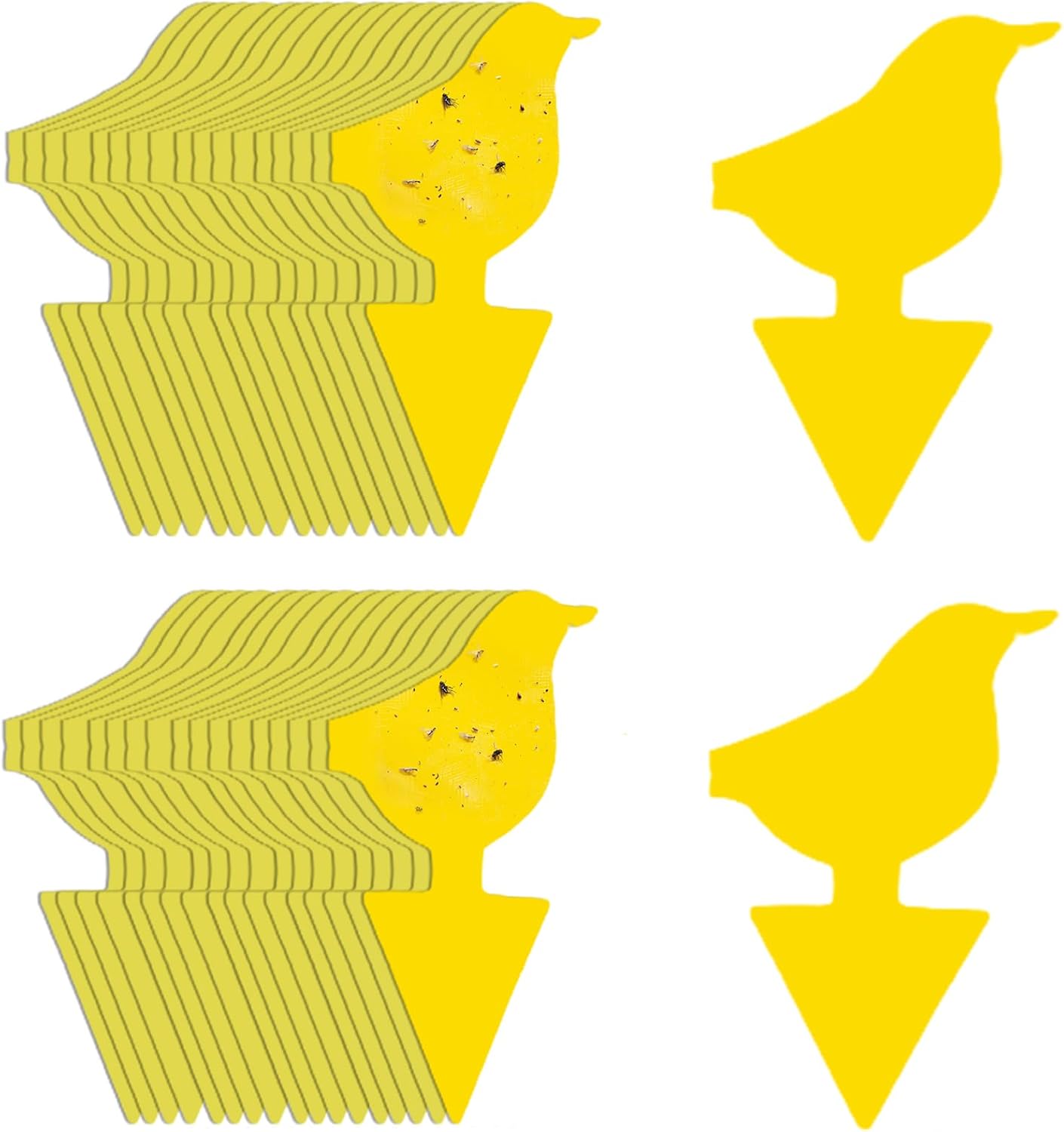 Kate's Home & Garden 36 Count Fruit Fly Traps for Indoors and House. Yellow Sticky Trap for Gnats, Mosquitos, Plants, Ants