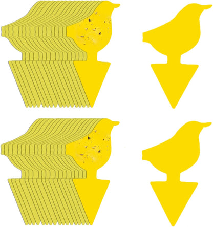 Kate's Home & Garden 36 Count Fruit Fly Traps for Indoors and House. Yellow Sticky Trap for Gnats, Mosquitos, Plants, Ants