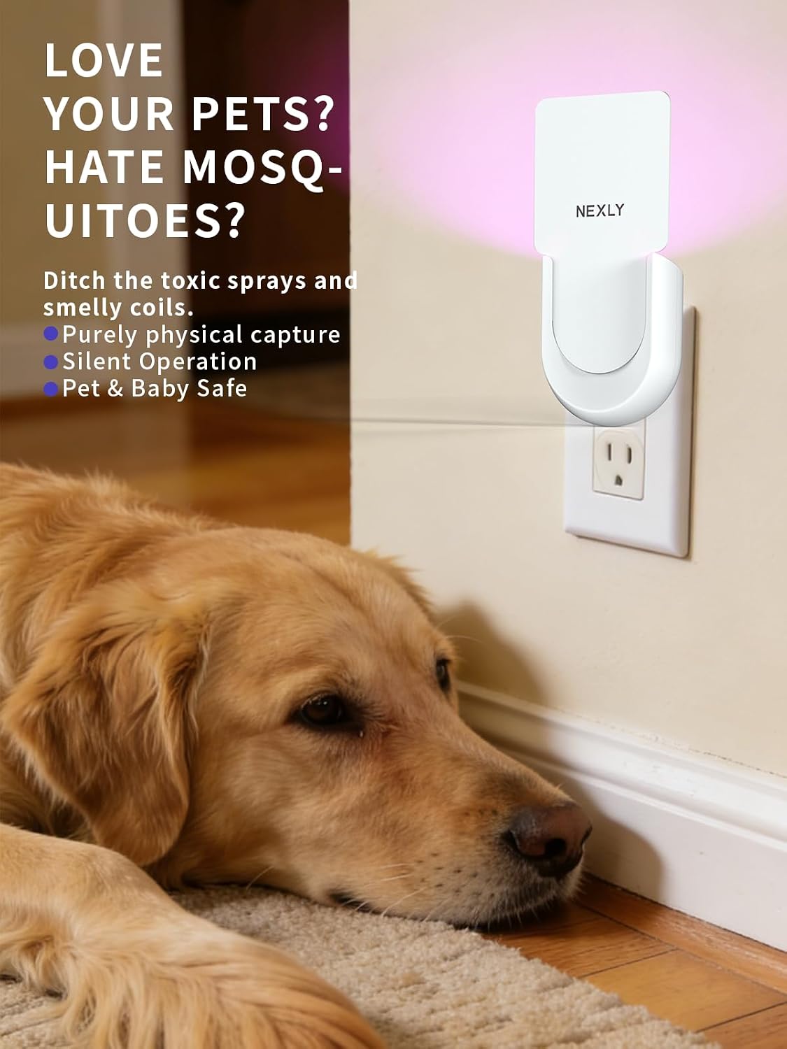 Plug-in Mosquito Trap & Zapper – Indoor Bug Zapper & Trap & Indoor Mosquito Killer Lamp & Trap, Sticky Glue Catcher w/Refillable Cards & Night Light, for Home, Bedroom, Kitchen, Living Room, Basement