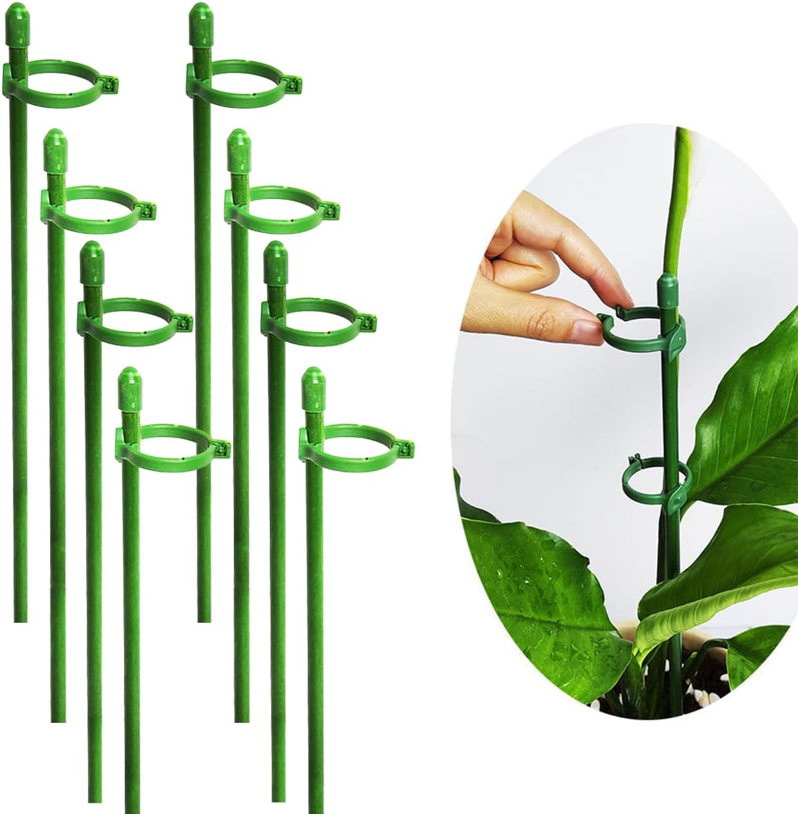 Belit 8 Pack Small Plant Support Plant Stakes, Garden Flowers Green Plant Support Ring, Planter Support Ring for Schlumbergera, Clivia, Vegetables, 5.5" Wide x 9.8" High