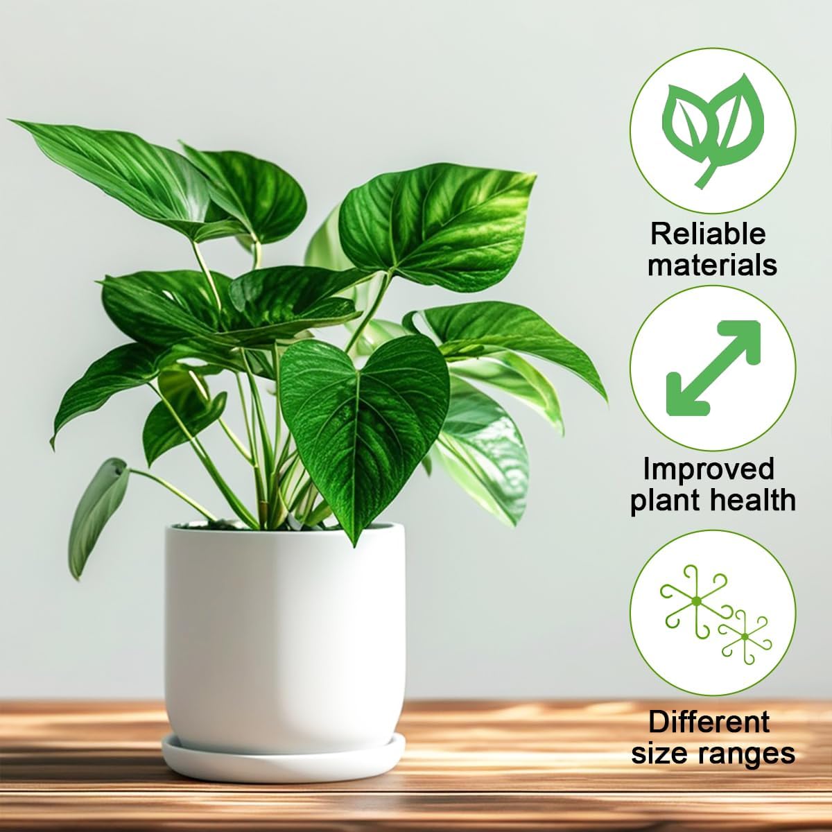 16 Pcs Plant Stem Support, 4 Sizes Climbing Houseplant Stem Support Stakes for Indoor Plants, Reusable Plastic Flower Plant Stabilizer, Plants Leaf Holders Hook for Growing Tomatoes, Orchids, Peonies
