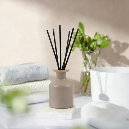 Reed Diffuser Set,Ocean Mist & Sea Salt Fragrance,100ml(3.38 fl.oz) with 6 Reed Sticks,Long-Lasting Oil Diffuser for Home,Office,Bathroom,Flame Free
