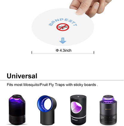 BANPESTT Automatic Insect Trap: Dusk-to-Dawn Sensor & Powerful Suction Quiet, Non-Zapper for Fruit Flies, Gnats, Mosquitoes | Includes 6 Glue Boards & UV Light (Black)