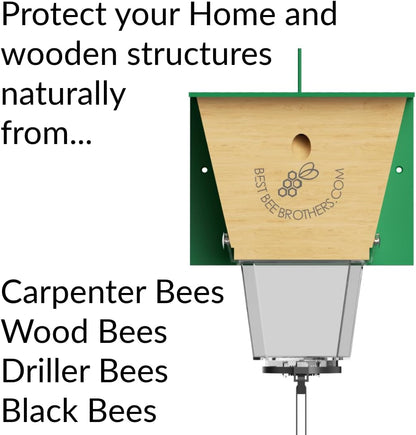 Best Bee Brothers Ultimate Pro Carpenter Bee Trap for Outside with Extra-Large, Clear External Receptacle, Internal Bee Vault & Spring-Loaded Door, 4.2” D x 5.8” W x 7.5” H (2 Pack)