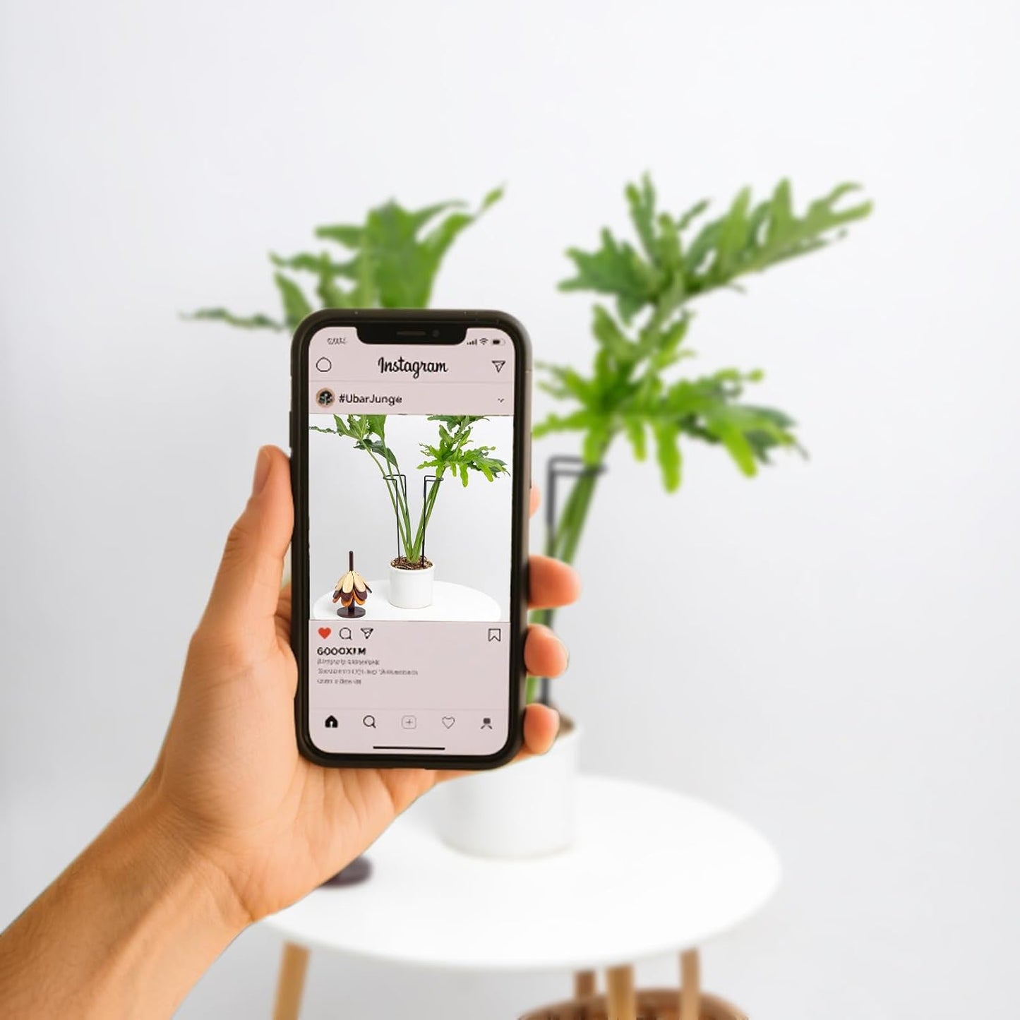 10 Pack Indoor Plant Support for Monstera Trellis Stakes and Stem Holder - Perfect for Small Indoor Plants, Desktop Gardens & Flower Shelf Use, Easy to Set Up and Efficient Support