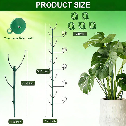 Stackable Plant Support Pothos Climber Support Vine Plant Sticks Stakes with Plant Clips and Plant Ties for Indoor Outdoor Vine Orchid, 5 Pack