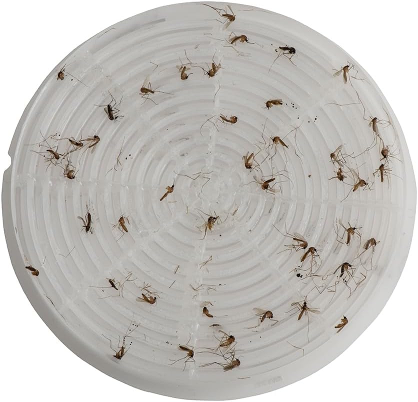 STUCK Pro AGO Mosquito Trap + Decorative Bucket, Naturally Attract & Capture Container-Breeding Mosquitoes, Pet & Kid Safe, Just Add Water & Attractant & Place on the Included Vessel