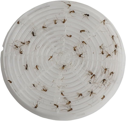 STUCK Pro AGO Mosquito Trap + Decorative Bucket, Naturally Attract & Capture Container-Breeding Mosquitoes, Pet & Kid Safe, Just Add Water & Attractant & Place on the Included Vessel